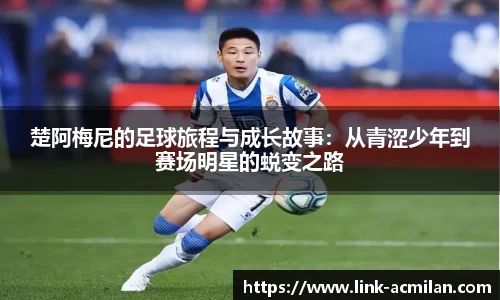 米兰体育下载
